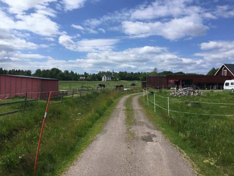 Midsummer celebration in the Swedish countryside