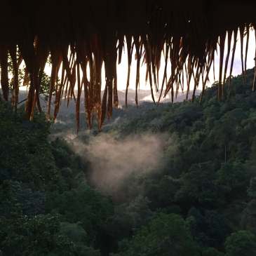 View from a Gibbon Experience treehouse in Laos