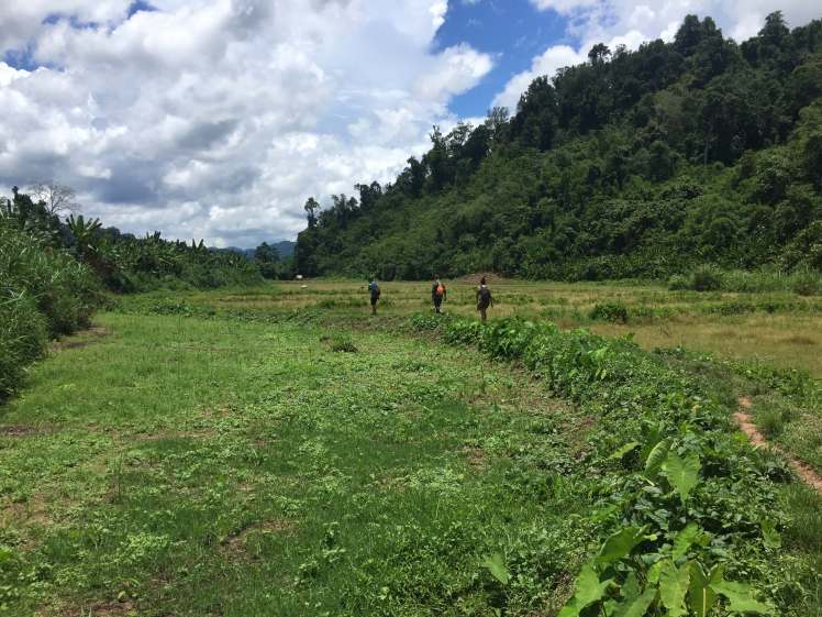 Trekking during the Gibbon Experience in Laos
