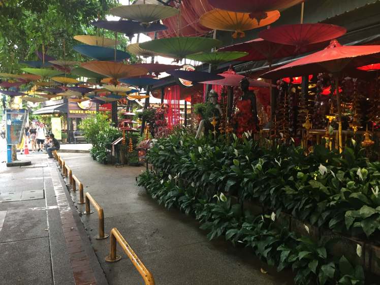 A Café in Chiang Mai, Thailand