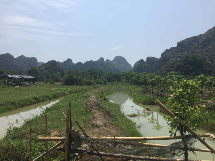 Farms on Cat Ba Island, Vietnam