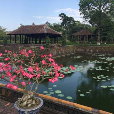 Beautiful scenery in the Citadel of Huế.