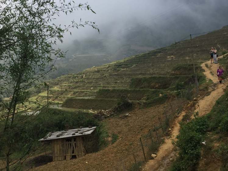 Foggy Rice Terraces in Sapa, Vietnam