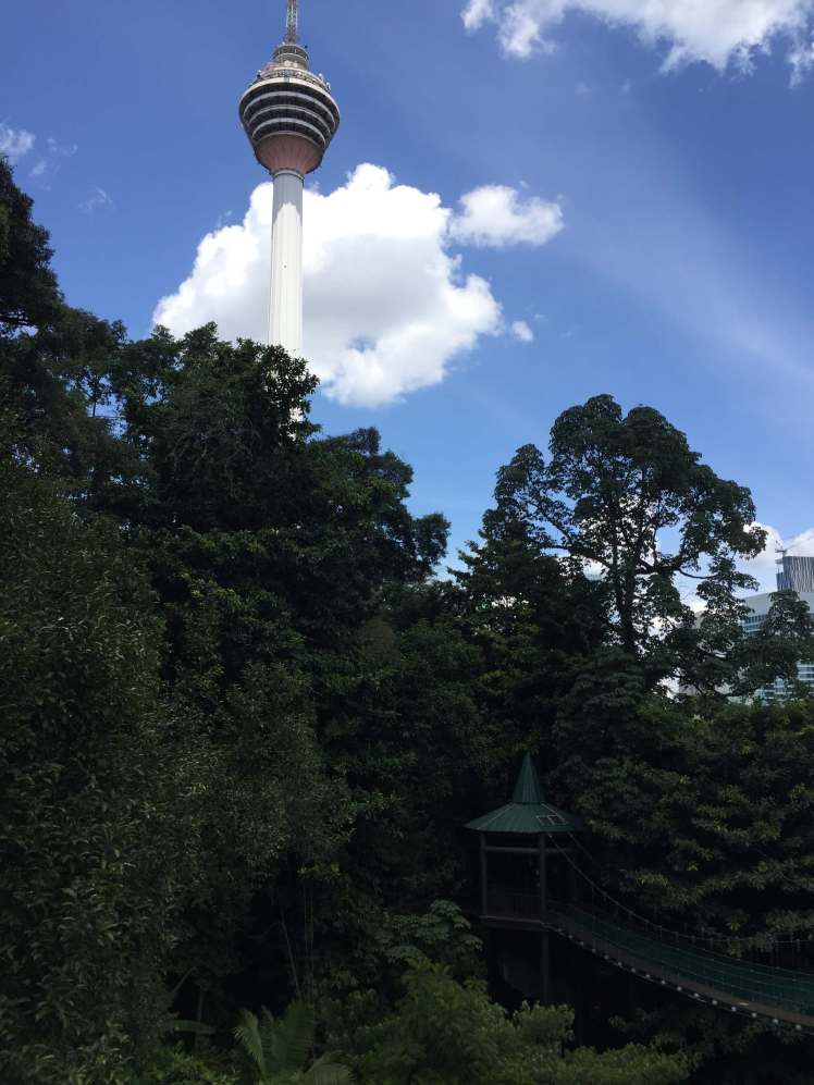KL Forest Eco Park in Kuala Lumpur, Malaysia