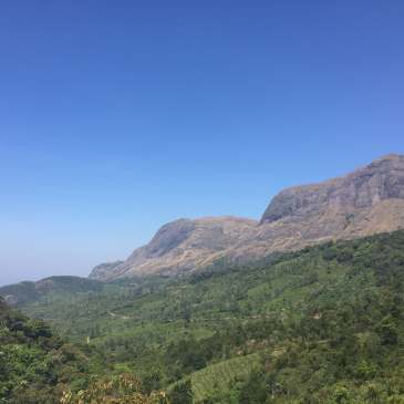 Mountains near Munnar, Kerala, India
