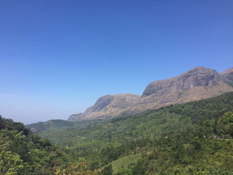 Mountains near Munnar, Kerala, India