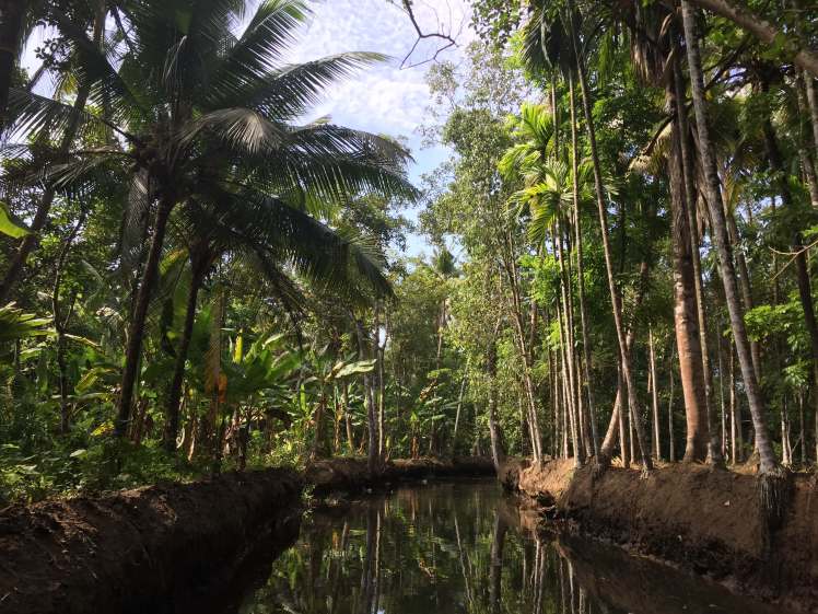 Narrow Canal in the Backwaters of Kerala, India