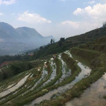 Sapa Rice Terraces, Sapa, Vietnam