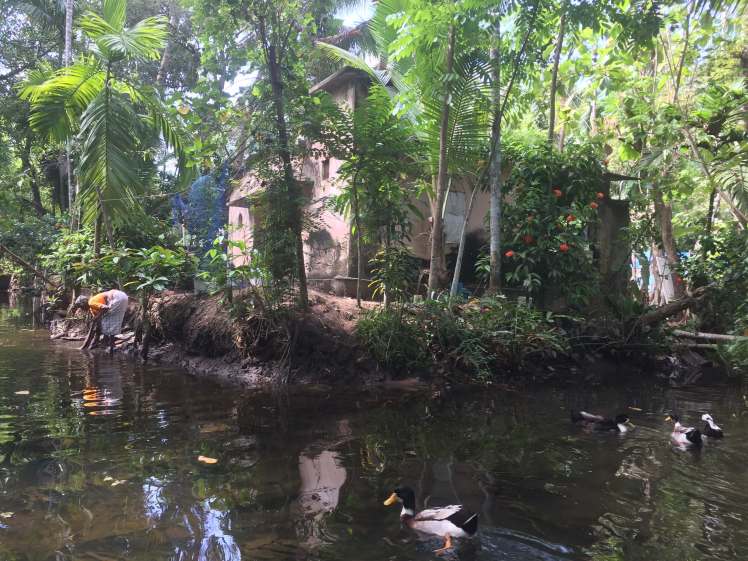 Village Life in the Backwaters of Kerala, India