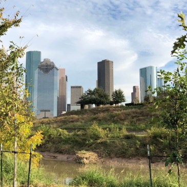 Houston Skyline and Buffalo Bayou