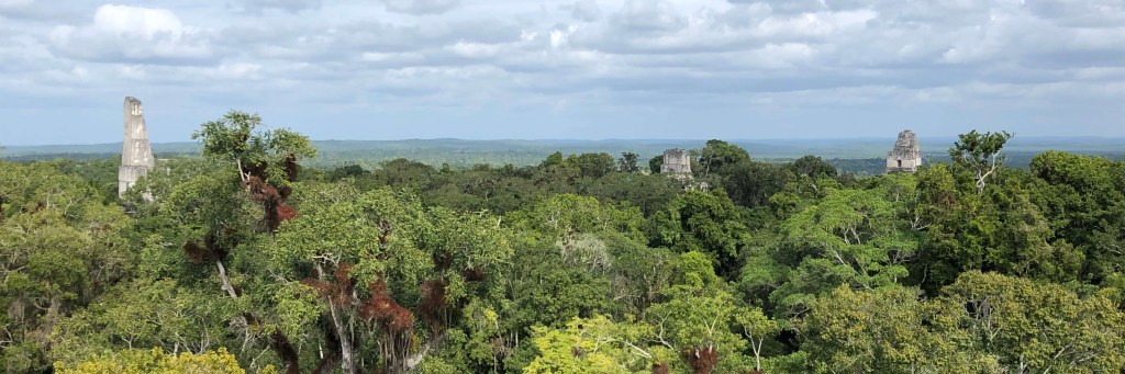 View of Tikal, Guatemala