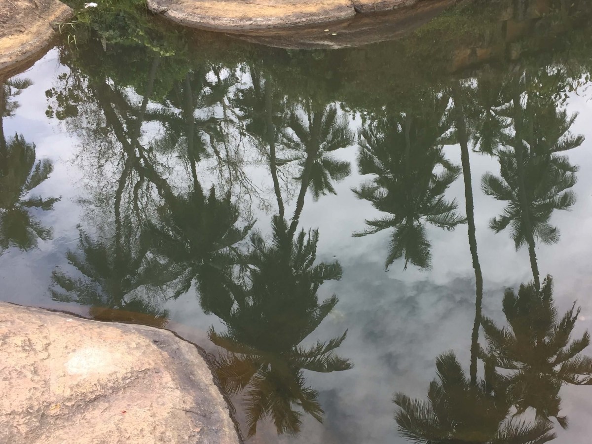 Coffee Destination #3: South India&nbsp;🇮🇳