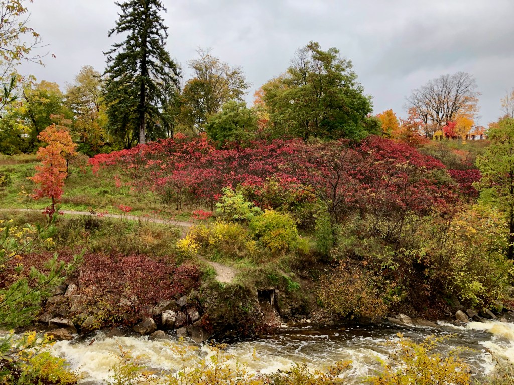 Fall Foliage Along Bear River, Petoskey, Michigan, USA
